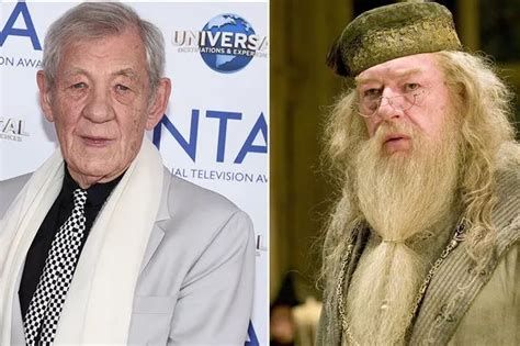 Michael Gambon Took Iconic Dumbledore Role In Harry Potter After Ian