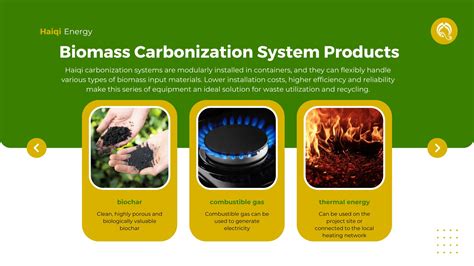 Biomass Carbonization System Products