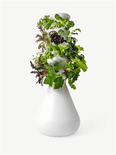 5 Vertical Gardens For The Casual Indoor Gardener The Good Trade