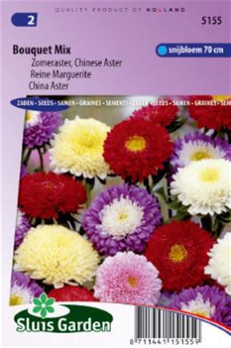 China aster Bouquet Mix - Annual varieties - Products - Gardenseeds