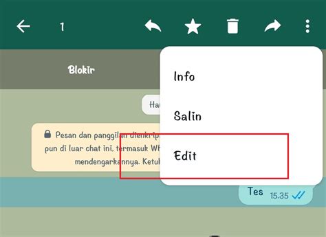 Lebih Dari 15 Menit Bisakah Pakai Fitur Edit Pesan WhatsApp