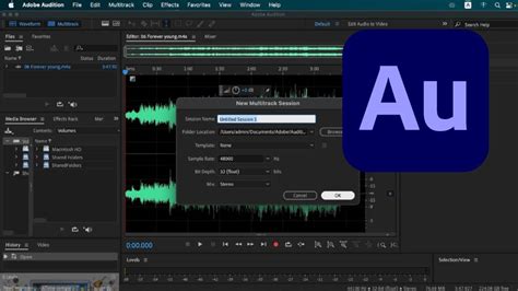 TEKNIK DASAR CUTTING MENAMBAHKAN SOUND EFFECT DAN BACKSOUND DI ADOBE