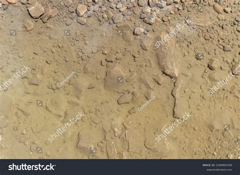 Underwater Muddy Rocks Texture Background Closeup Stock Photo