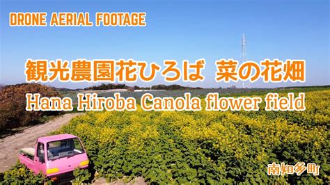 観光農園花ひろば 菜の花畑（愛知県南知多町）〜 空撮 Drone Mavic Mini 〜 Hana Hiroba Canola