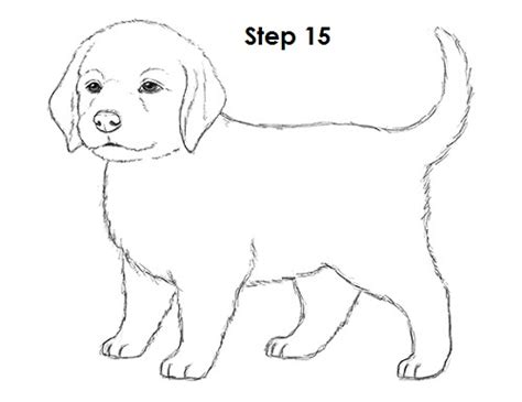 Puppy Sketch Easy At Explore Collection Of Puppy