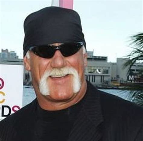 Hulk Hogan Sex Tape Allegedly Leaked Welcome To The Paris Hilton Tommy Lee Pamela Anderson