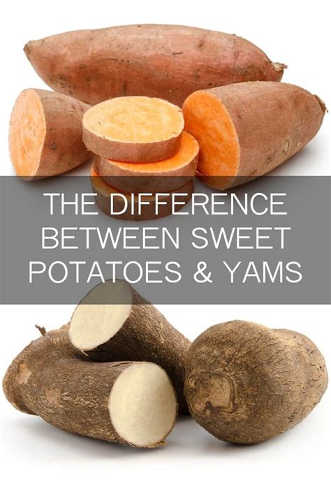 What Is The Difference Between Sweet Potatoes And Yams Health Photos