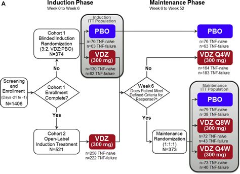 Efficacy Of Vedolizumab Induction And Maintenance Therapy In Patients