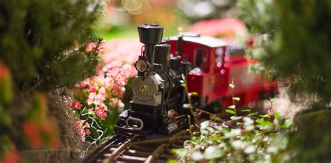 Insiders Guide To Wonderland Express At Chicago Botanic Garden