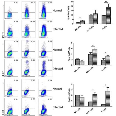 The Expression Of Cd25 And Cd69 On Nk And Nkt Cells Single Lung Cell