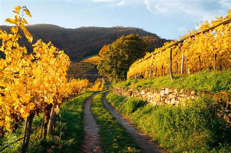 How to Visit the Wachau Valley in Austria