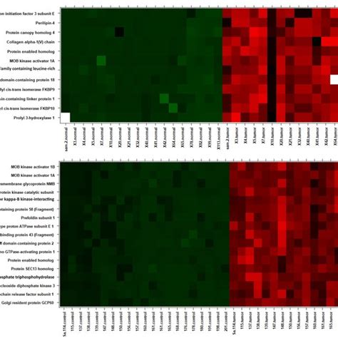 Heat Map Analysis Of The Detected Proteins In Stage 2 And 3 Of The