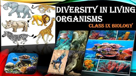 Diversity In Living Organisms Class Science Full Chapter Exam Notes