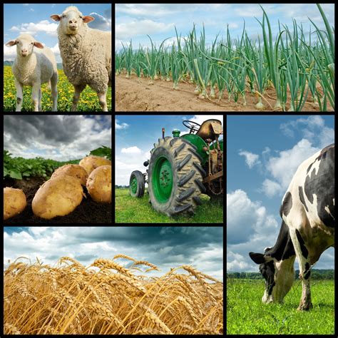 Les Systa Mes D Exploitation En Agriculture Bep A 6