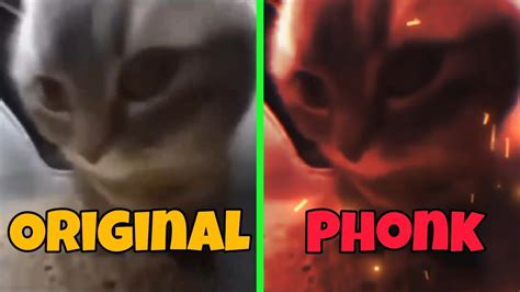 Chipi Chipi Chapa Chapa Original Vs Phonk Youtube