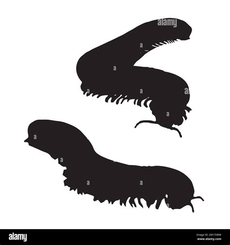 Vector Illustration Of Millipede Silhouette Stock Vector Image And Art