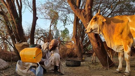 نزوح ما يقرب من 2 8 مليون شخص جراء الصراع في السودان