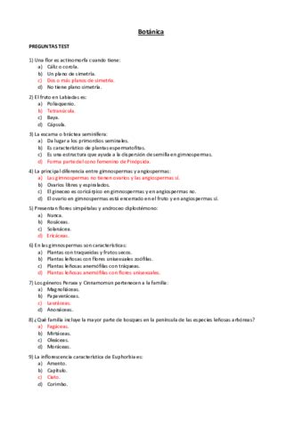 Preguntas Nica Pdf