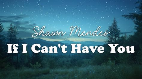 Shawn Mendes If I Cant Have You Lyrics Youtube