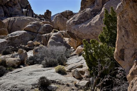 Boulder Path Free Stock Photo - Public Domain Pictures