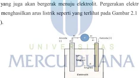 BAB II TINJAUAN PUSTAKA