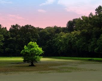 Indiana Landscape Photography Photo Road Nature Pint Woodland