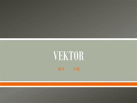 vector