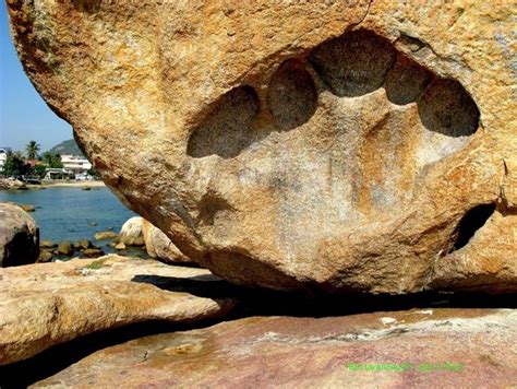 Some Rocks With Holes In Them By The Water