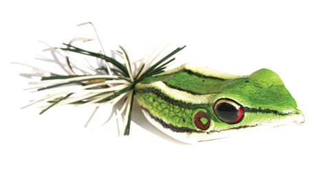 Topwater Frogs For Bass Florida Sportsman