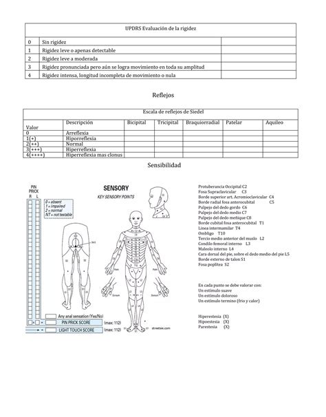 Valoracion Neurologica Formato Pdf