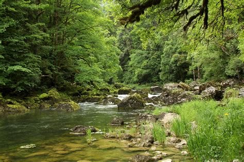 Doubs Fluss Bach River Creek Im Tal Des Doubs Doubst Flickr