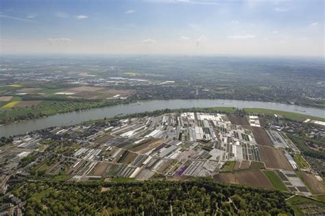 Luftaufnahme D Sseldorf Stadtansicht Von Volmerswerth Am Ufer Des