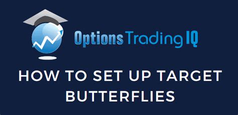 How To Set Up A Target Butterfly Spread With Puts