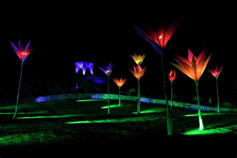 Sneak peek: 'Lightscape' returns to San Antonio Botanical Garden