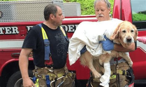 La randonneuse en bikini meurt dans un ravin à cause d un selfie