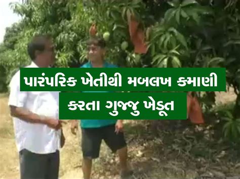 Gujarat Umargam Farmers Earn Lakhs Of Rupees By Hafus Mango Organic Farming