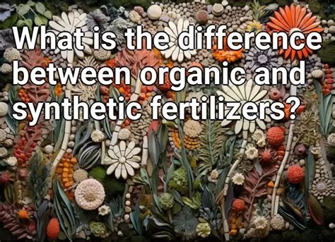 What Is The Difference Between Organic And Synthetic Fertilizers