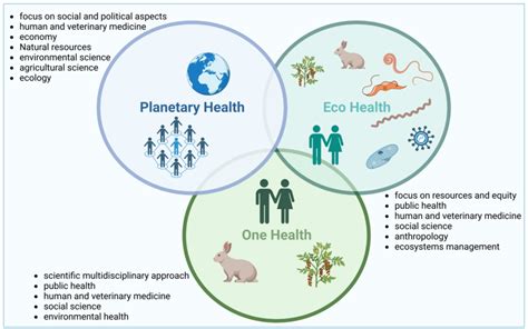 Holistic Approaches To Health One Health Eco Health And Planetary