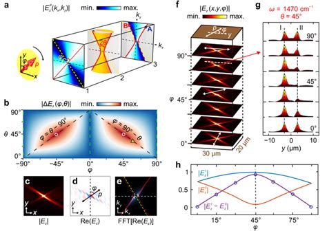 Symmetry Broken Hyperbolic Polaritons Configured By An In Plane Dipole