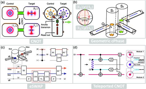 Unitary Gates On Two Logical Qubits A Controlled Not CNOT Gate