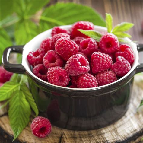 compra frambuesa  gr berry house wwwberryhousecl