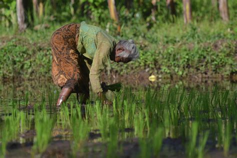 Memaksimalkan Potensi Bonus Demografi Kedua Kompas Id