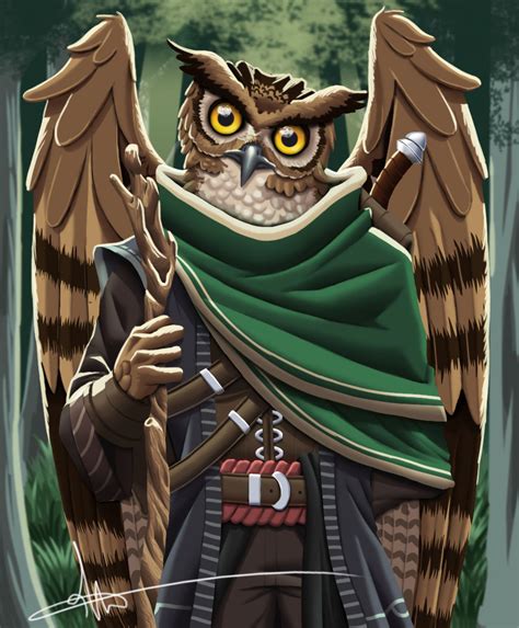 Dandd 5e Aarakocra Druid Guide Sage Gamers