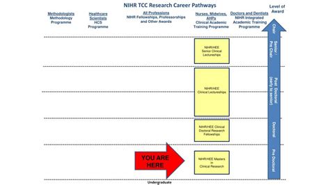 Ppt The Nihr Hee Clinical Academic Training Programme Powerpoint