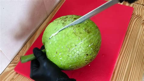 How To Preserve Breadfruit In The Kitchen With Lynn Youtube