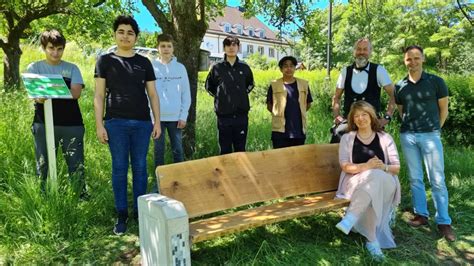 Schülerprojekt GymSL Schüler bauen eine Bank im