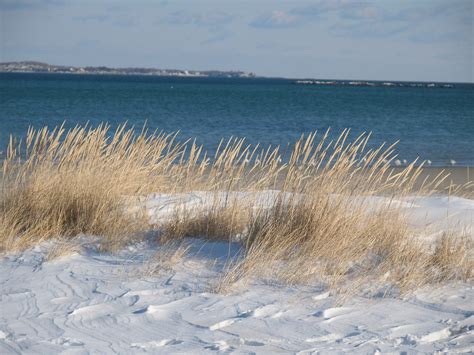 Winter Beach Scape - New England Today