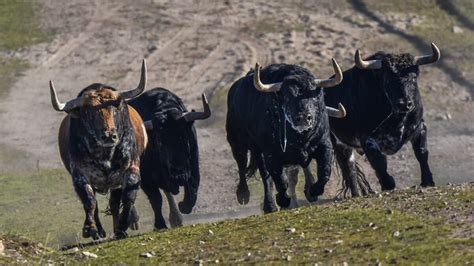 Alerta En El Campo Bravo Y En Las Empresas El Censo Confirma Que