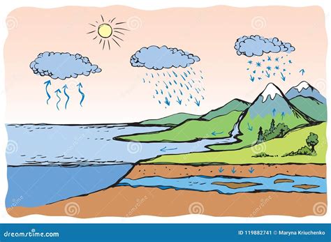 Vector Schematic Water Cycle In Nature 119882741