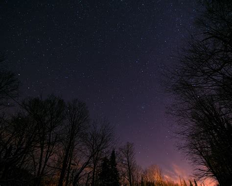 wallpaper starry sky, trees, night, stars HD : Widescreen : High ...